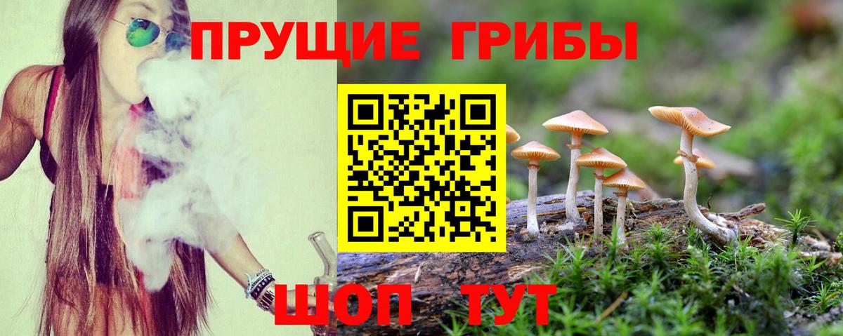 Анапа  Галлюциногенные грибы Magic Shrooms  что такое наркотик  Вход с VPN 