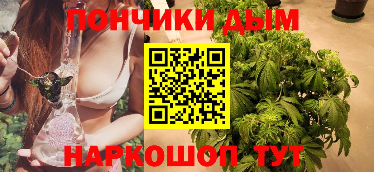 Шишки марихуана Bruce Banner  Вход с VPN  МАРИХУАНА THC 21%  Анапа 